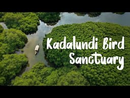 Kadalundi Bird Sanctuary | Kozhikode’s Haven for Migratory Birds