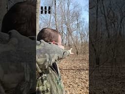 Speed Shooting With The Hornet Slingshot
