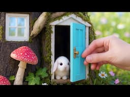 Rescued The Smallest Pet in the WORLD! The Smallest Pets Found a New Home!