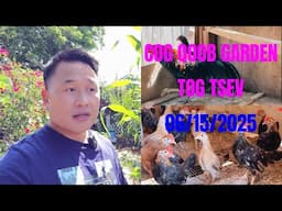Pob Kws - COG QOOB NTAWM TOG TSEV, MENYUAM QAIB NTSIAS MEKAS ZOO NKAUJ, DIB, THIAB PAJ ZOO NKAUJ