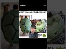 Giant ￼ wearable turtle pillow!! #tmnt #turtlepillow #shorts