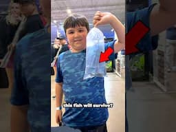 Do you think this fish will survive? 😰