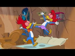 Sleepover with Woody! | Woody Woodpecker