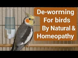 Best Homeopathy Medicine For Bird's De-worming ? | By@PakhirVidyalaya