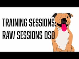 Back at it with Oso 🐗 | First Session After Travel