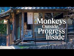 We FINALLY Finished This Part! (Japanese House Renovation & Monkeys)