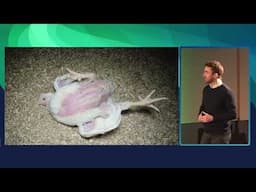 The Case for Prioritizing Animals in your EA Journey | Niklas Fjeldberg | EAGxNordics 2025