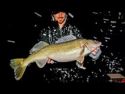 How to catch GIANT Walleye at night!