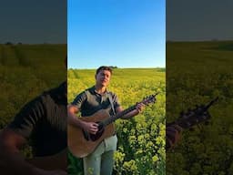 ‘Fields Of Gold’, in a literal field of gold 🤣 #emmetcahill #fieldsofgold #sting #evacassidy