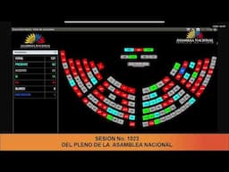 Votación de la reconsideración de la asambleísta Luzmila Abad - Sesión 1023