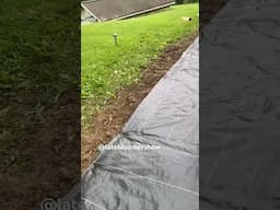 Weed cloth to the rescue! #gardening #weedcontrol