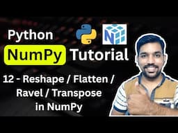 Python NumPy Tutorial 12 - Reshape vs Flatten vs Ravel vs Transpose in NumPy