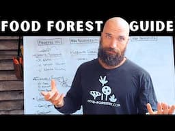 Over-Simplified Guide to SUPPORT SPECIES for your Food Forest (take notes)