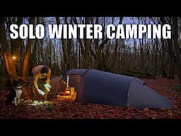 Cold Weather Camping with My Dog - Using a Wood Stove