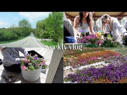 VLOG | honest chit chat, planting flowers, clean with me, spring in the midwest - days in my life