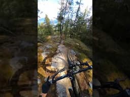 20% off all E-Bikes in Canada and the US only on Propain: code REMYEEB20