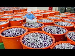 500,00！Preserved Duck Egg Mass Production Factory/5萬顆！皮蛋大量製作工廠, 台灣鴨蛋採收/Duck Egg Harvesting in Taiwan