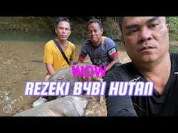 Rezeki Hasil Hutan Kepulauan Borneo Yang Luar Biasa
