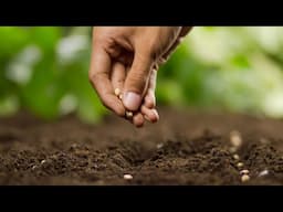 The Time To Grow Is Now
