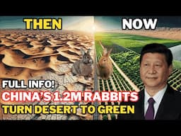 How China Bred Over 1,200,000 Rabbits To Turn Desert into Green Plantations!