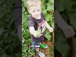 Grow the Ultimate Backyard Garden! (The 400 Square Foot Garden) #gardendesign #garden #gardening