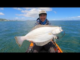 California Halibut Trolling in the San Francisco Bay