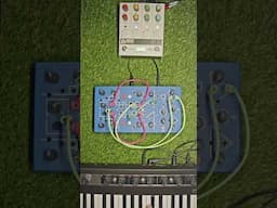 ABSOLUTELY DELICIOUS #electronicmusic #synth #synthesizer