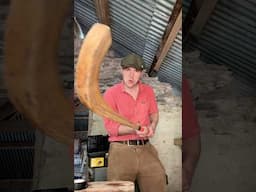 Hurling and Shinty #hurling #shinty #sports #game #traditional #restoration #ireland #scotland