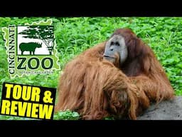 Cincinnati Zoo 2025 Tour & Review