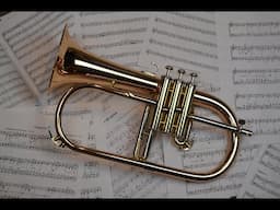 Pierce College Concert Band and Orchestra