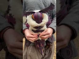 Moth Mother Bag #showcase