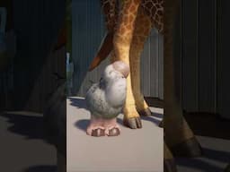 ALBINO OSTRICH Turned Into a Plushie?! 🧸 You Need to See This