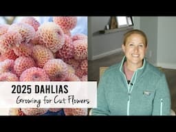 2025 Dahlias - What I'm Growing For Cut Flowers!  Sunshine and Flora