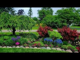 First June Garden Tour with Drone Footage! 🌼😃🌼