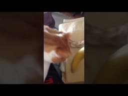 Bloublou et la banane