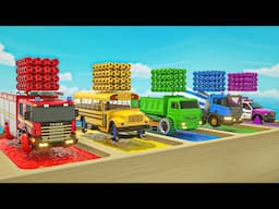Bingo Song + Finger Family Songs, Baby cars and soccer balls-Baby Nursery Rhymes & Kids Songs