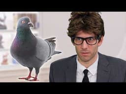 How The Government Invented Birds