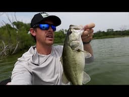 Catching Fish on Boomer Lures - No Live Scope Needed!