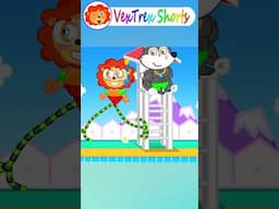 Lion Shorts - Baby! Long Legs vs Short Legs! Safety Regulations in Swimming Pool - Cartoon for Kids