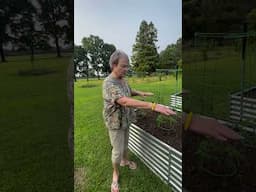 Today I'm showing you my raised beds. I love to garden, don't you?