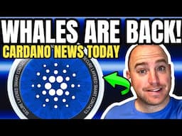 ADA CARDANO NEWS TODAY - PREPARE FOR BREAKOUT!