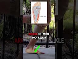 The Pronation Myth Destroyed: How It Helps (Not Hurts) Your Running
