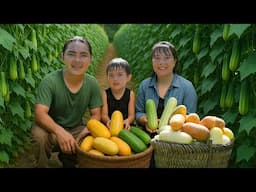 Harvesting cucumbers, taking them to the market to sell, daily life on the farm, SURVIVAL ALONE