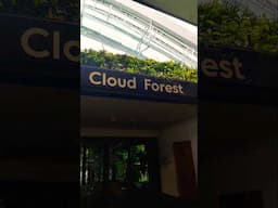 Cloud Forest at Gardens by the Bay-Singapore #singapore #forest #Orchid #singaporetouristattraction