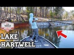 BIG LARGEMOUTH Were Moving Up! (Hartwell Practice)