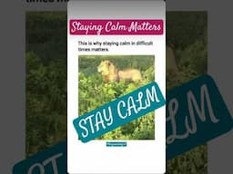 Stay calm in difficult times #calm #staycalm #viralvideo #shorts