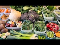 What we grow for a hungry gap harvest in April