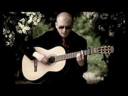 Michael J Sheehy - No One Recognised him HD