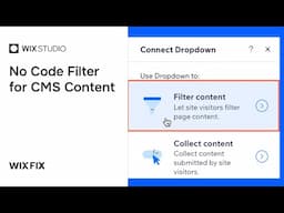 How to Filter CMS Content in Wix without Code