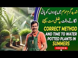 Correct Method And Time To Water Potted Plants In Summers | Gardening With Javed Iqbal